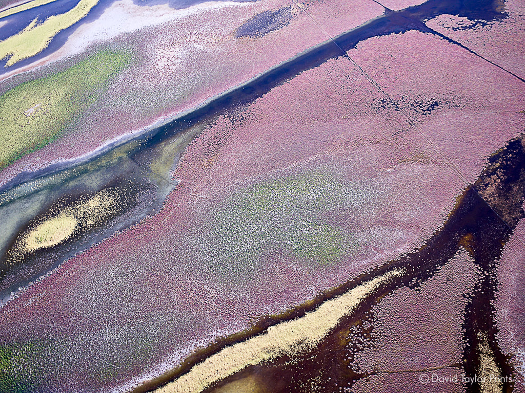 Abstract Aerial Landscape Photo Print of Roebuck Bay Australia by David Taylor