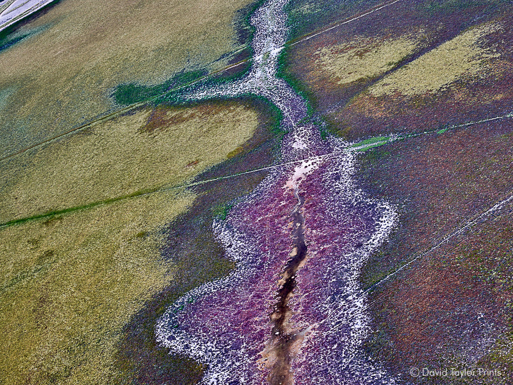 Abstract Aerial Landscape Photo Print of Roebuck Bay Australia by David Taylor