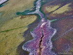 Load image into Gallery viewer, Abstract Aerial Landscape Photo Print of Roebuck Bay Australia by David Taylor
